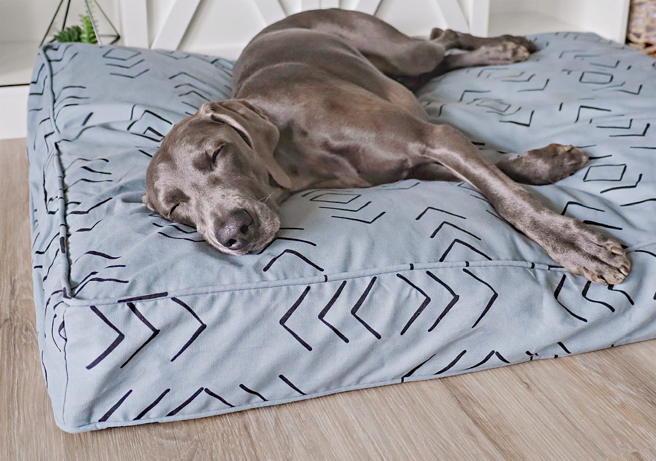 molly mutt duvet