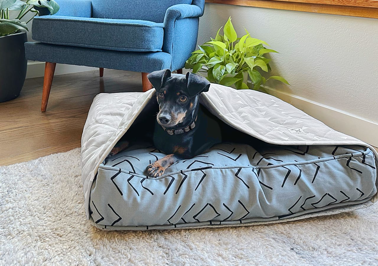 What Temperature Should I Wash My Dogs Bedding