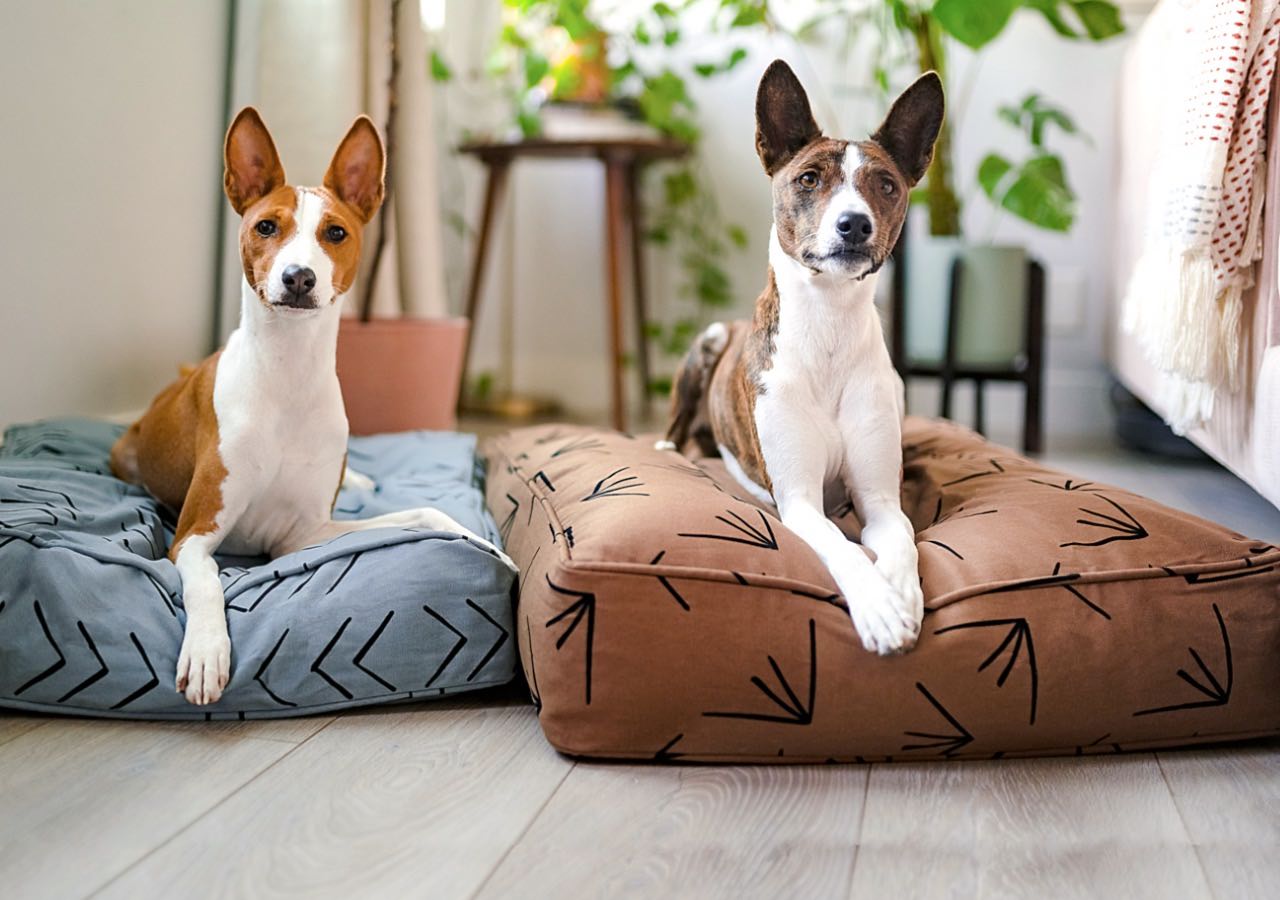 Dog deals bed duvet