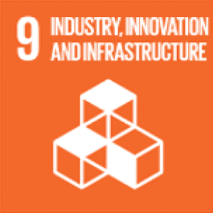 UN SDG 9