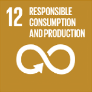 UN SDG 12