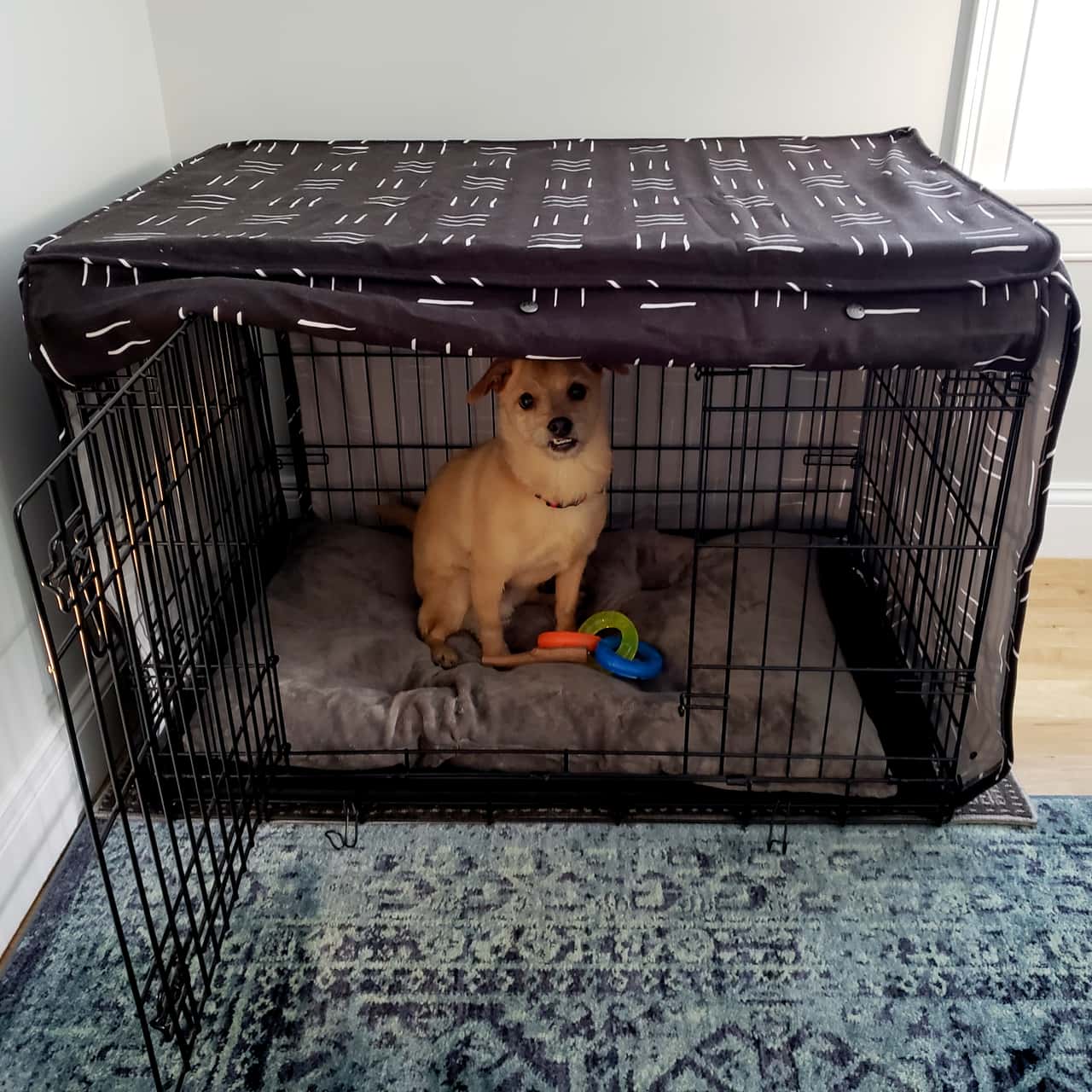 A Puppy Sleep Blanket Over Crate At Night Dog Sleeps Can You Crate