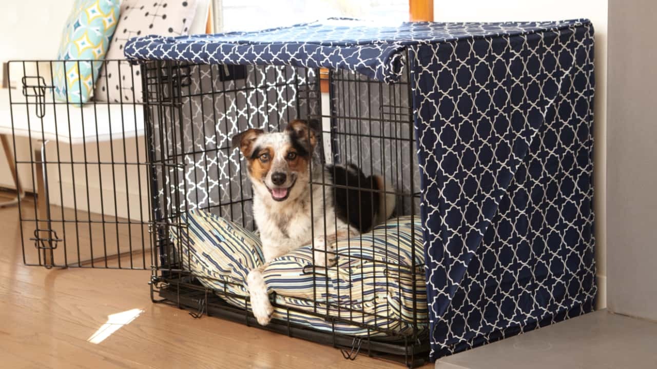 Pet Dreams Dog Crate Bumper Wire Dog Crate Accessories, Dog Crate