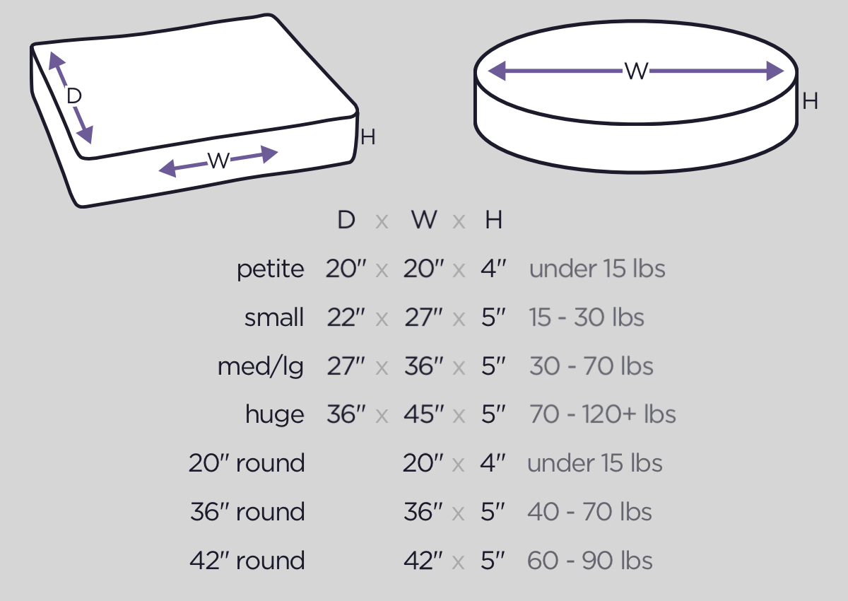 dog bed size guide