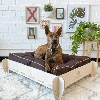 queen bed with dog bed