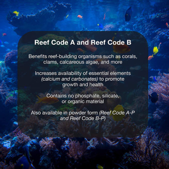 Brightwell Reef Code B