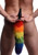 Tailz Rainbow Tail Anal Plug by XR Brands