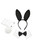 5 Piece Set Collar Cuffs Tail and Bunny Ears