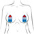 Pastease Red White and Blue Bomb Pop Glitter Nipple Pasties