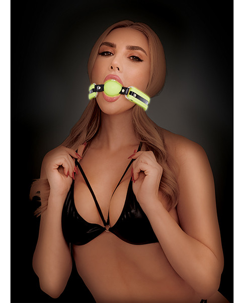 Whip Smart Glow in the Dark Ball Gag