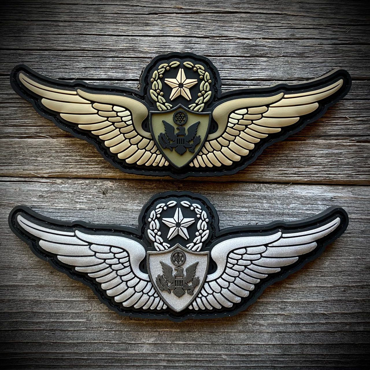 military astronaut wings