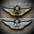 Army Aviation Badge Patch (Enlisted) MASTER/SENIOR/BASIC