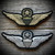 Army Aviator Badge Patch (Pilot) MASTER/SENIOR/BASIC