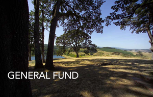 A14010 Donation - General Fund