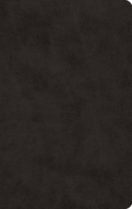 ESV Large Print Value Thinline Bible (TruTone, Black) Imitation Leather ESV Large Print Value Thinline Bible (TruTone, Black) Imitation Leather