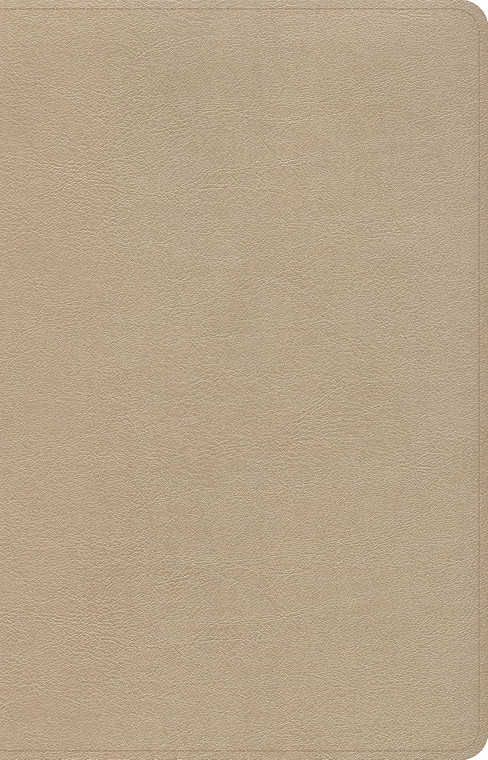 CSB Thinline Bible, Gold LeatherTouch Imitation Leather