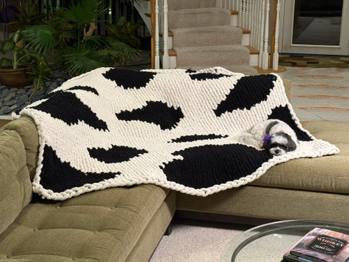 Cow Blanket