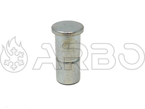 PERNO AVP D.10X19 CON GOLA BRUNITO - COLA315400151