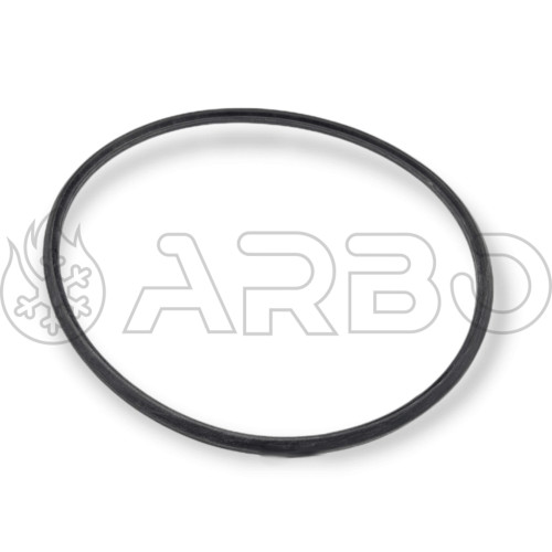 KIT CON 10 ANELLI OR 20.63X2.62 - BA005405350KIT10