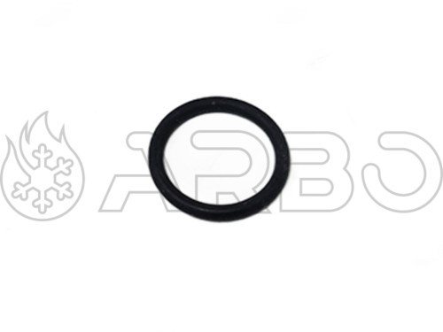 KIT CON 10 ANELLI OR 21.5X3 EP70 - BA710963000KIT10