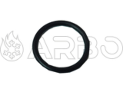 O-RING 21.89X2.62 - MTS65104320