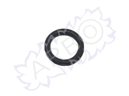 O RING - SD0020099118