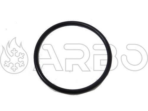 KIT O-RING  - VL0010047534