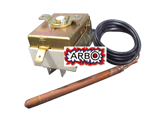 TERMOSTATO CON TESTA 110°C - FER39816810
