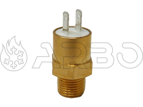 SONDA LIMITE NTC DA G1/8 - BA710057300