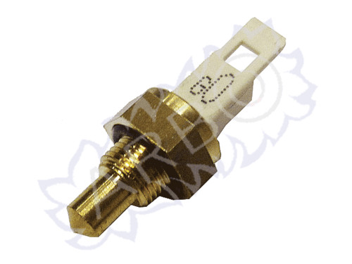 SONDA TEMPERATURA NTC - RIE4R102445