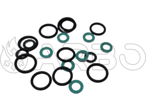 KIT GUARNIZIONE CALDAIA SR.T3B - FER3980H920