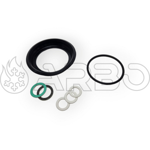 KIT GUARNIZIONE BOILER OASI  - FER39843450