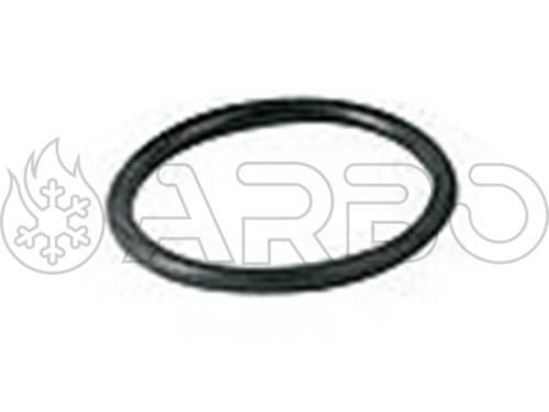 KIT CON 10 O-RING - RIE4R102794