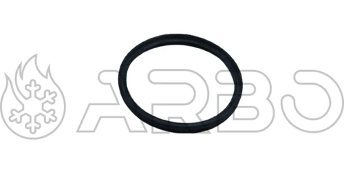 GUARNIZIONE LABBRO D.80 - BA005411030