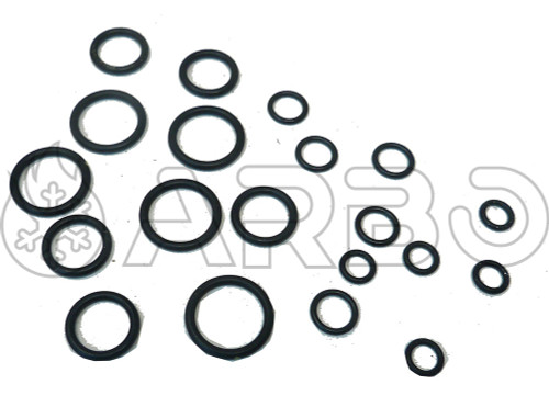 KIT GUARNIZIONI - THERM1RIC0201