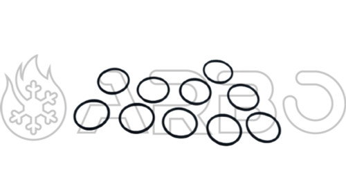 KIT N.10 ANELLI O-RING 28.24X2.62 - BA005400400KIT10