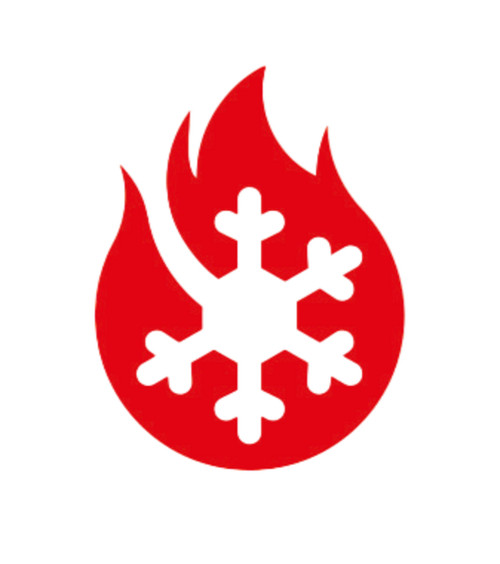 VALVOLA GAS - RIE4035855