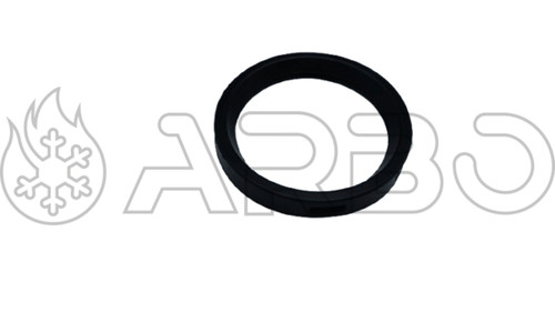 Guarnizione EPDM - IMM1041255