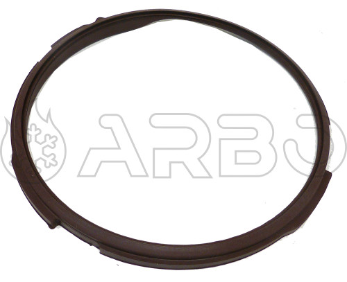 GUARNIZIONE TENUTA COLLETTORE - IMM1044437