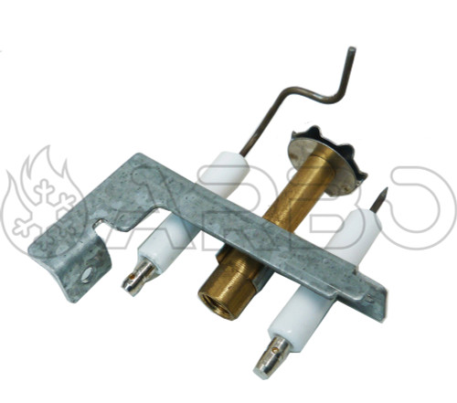 ASSIEME PILOTA ELETTRODI - INV20013304