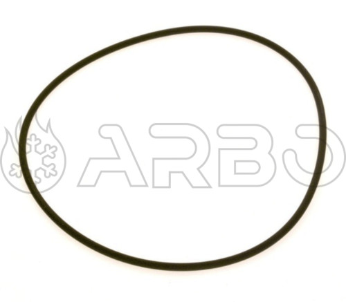 ANELLO DI TENUTA 221,62X5,33 - BUD8718573434