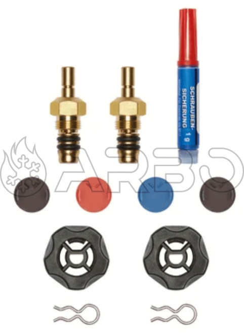 KIT SOSTITUZIONE VALVOLE - 05545570