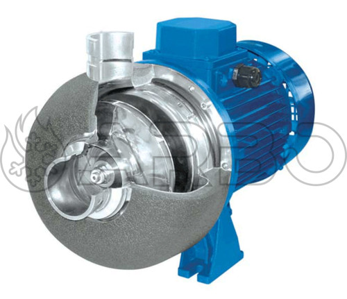 ELETTROPOMPA DWC-N/I 500/2.2 - 2191100004I