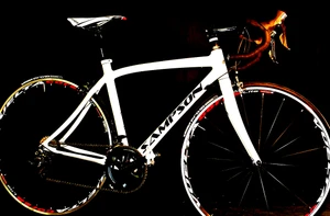 KALISPELL FRAME AND FORK  