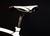 KALISPELL FRAME AND FORK  