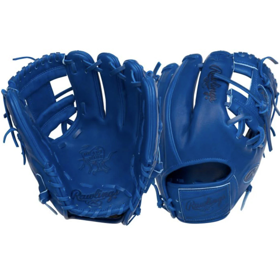 2025 Rawlings HEART OF THE HIDE Element Series STORM Baseball