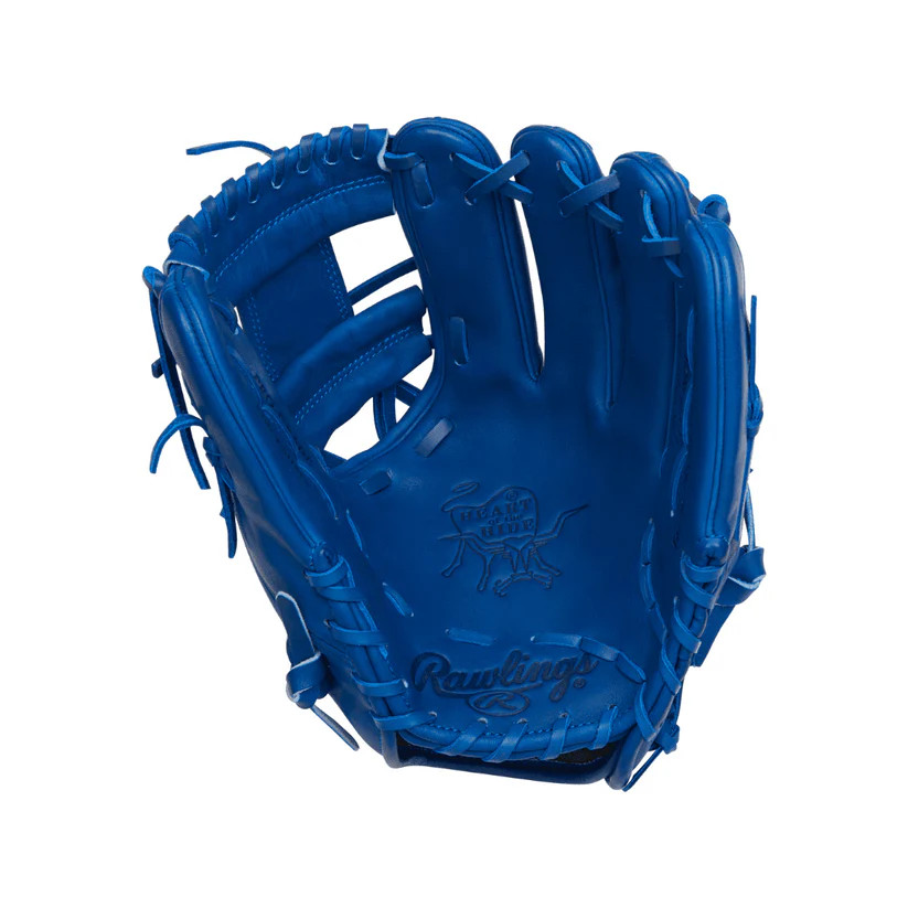 2025 Rawlings HEART OF THE HIDE Element Series STORM Baseball
