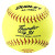 Dudley Thunder SY Protector Series Level 10 USA (ASA) 11" Fastpitch Softball, One Dozen, 4A148PT