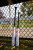 2026 Victus Vibe WARHAWK Alloy USSSA Baseball Bat, -10 Drop, 2-3/4 in Barrel, VSBVIB10WH