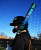 2027 DeMarini VIZION Composite Fastpitch Softball Bat, -8 Drop, VB8-27, WBD2730010